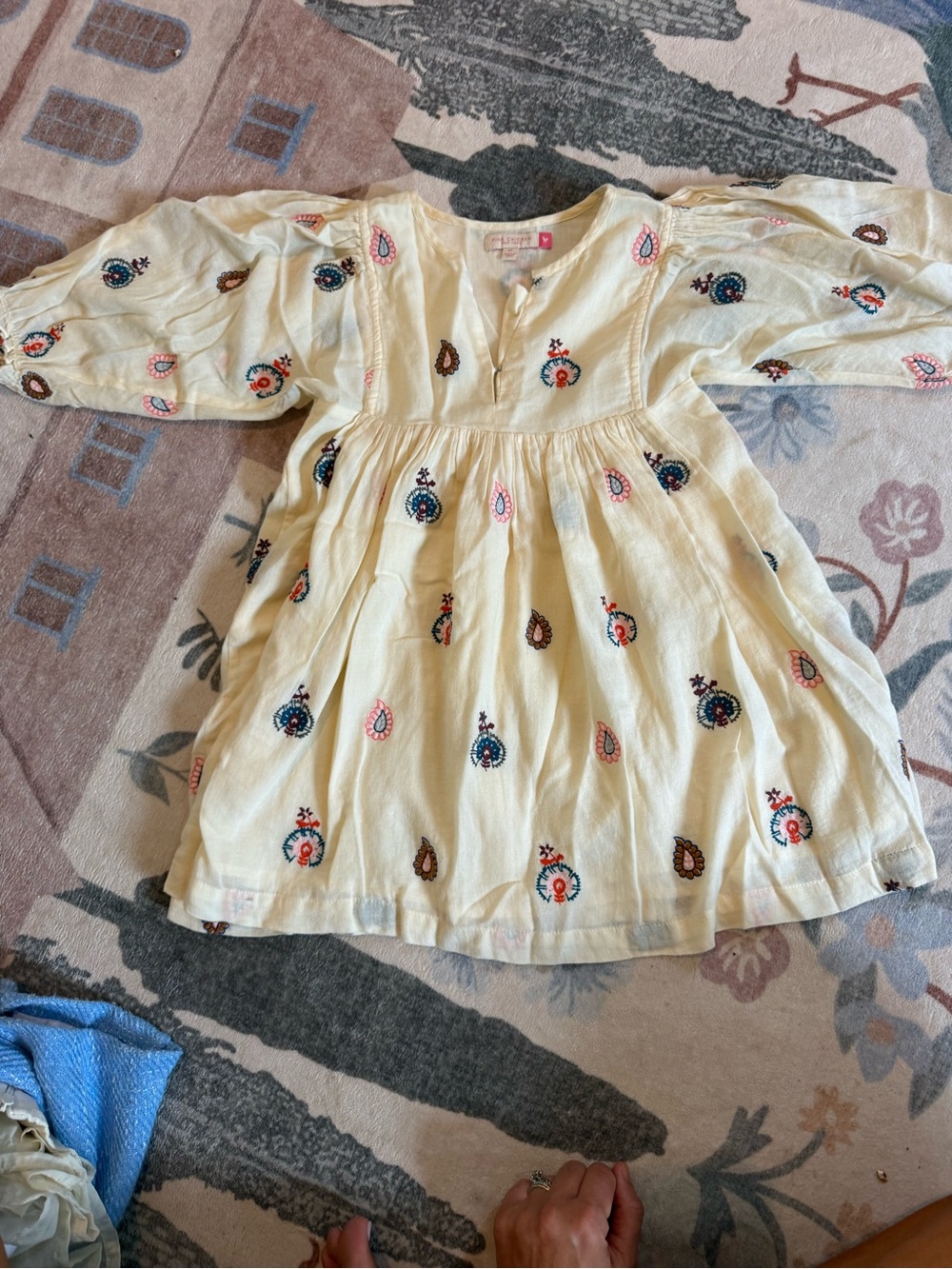 Pink Chicken Cream Dress with Multicolor Paisley Embroidery